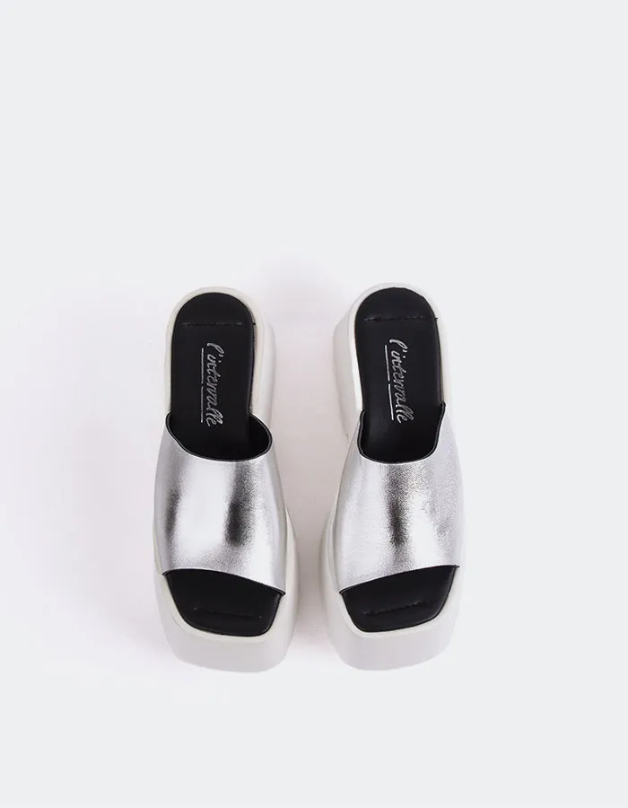Fidle Silver Metal